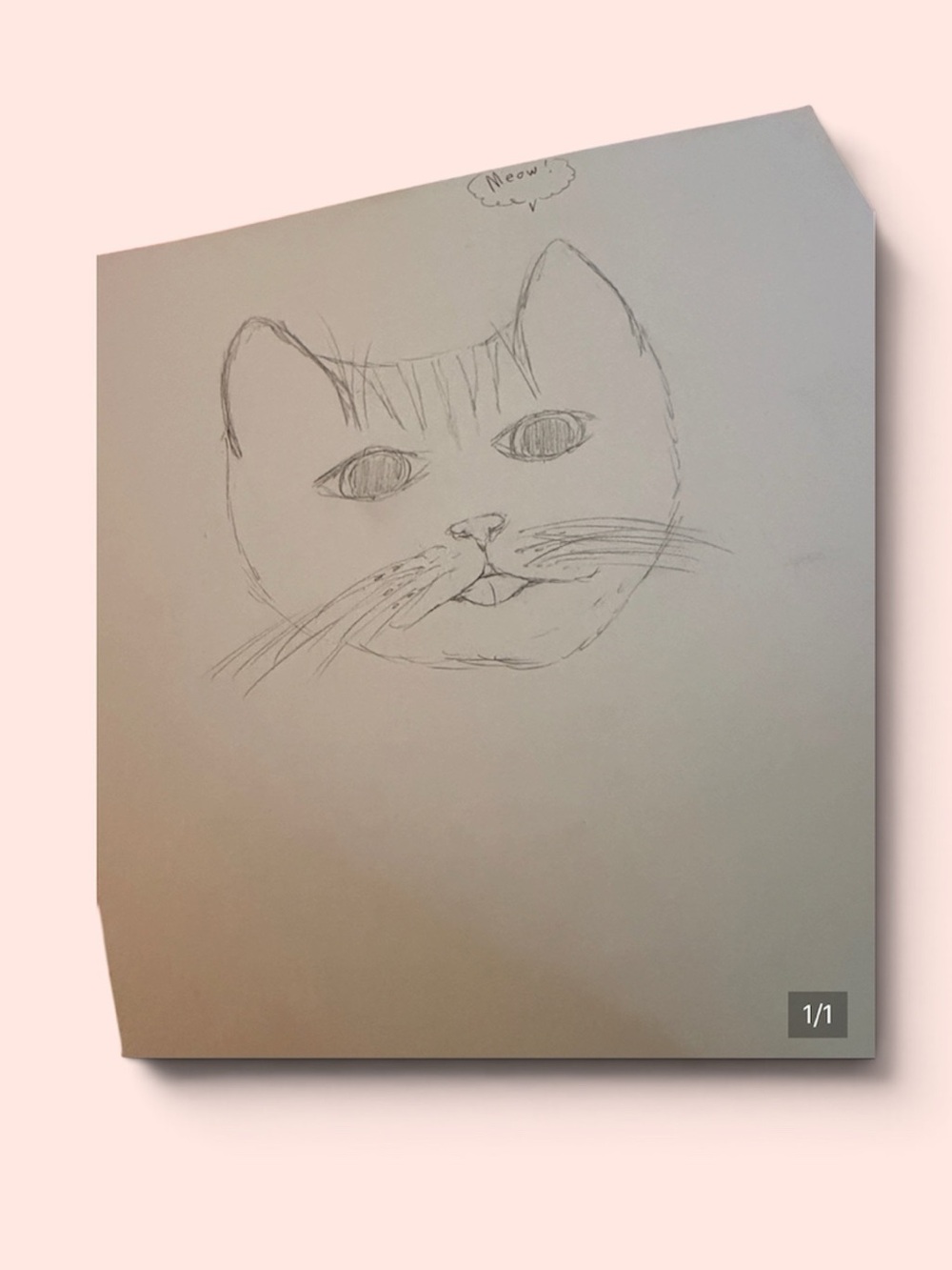 Pet Sketch Pad with Pink Cover - Unbranded